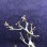画像10: 春先取り！開花が1番早い　河津桜の情景盆栽【角いぶし風鉢】☆1点物☆