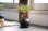 画像2: 盆栽入門に最適！三河黒松のミニ情景盆栽【デザイン鉢・黒】☆１点物☆ (2)