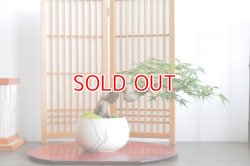 画像1: 圧巻！置霜もみじの情景盆栽【墨流し鉢】☆1点物☆No1