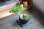 画像2: 葉から香りが⁉ ニオイ楓のミニ情景盆栽 【瀬戸焼小鉢・黒】☆1点物☆ (2)