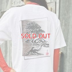 画像2: BonCyuオリジナルTシャツ【真柏】