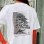 画像2: BonCyuオリジナルTシャツ【真柏】 (2)