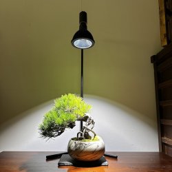 使用イメージです