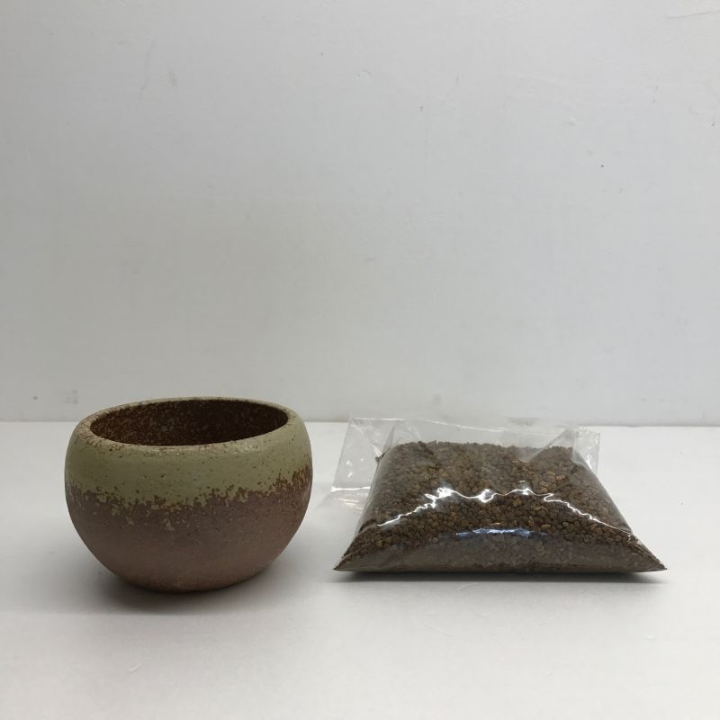 瀬戸焼小鉢・茶と配合土のセット【鉢底ネット付】