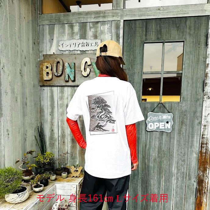 BonCyuオリジナルTシャツ【真柏】