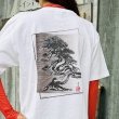 画像2: BonCyuオリジナルTシャツ【真柏】 (2)