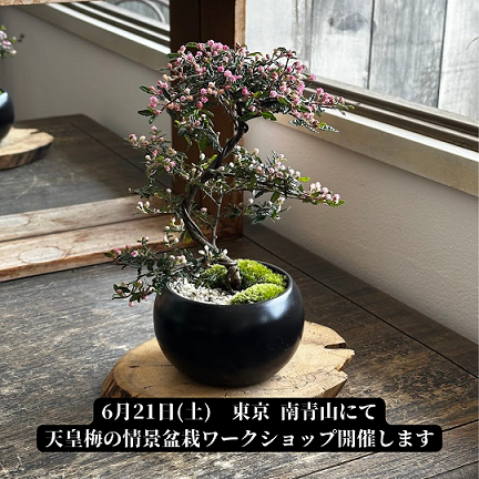 ☆臨時休業のお知らせ☆ 6月20日(金)14時以降・21日(土)臨時休業 ・22日(日)午前中臨時休業します。