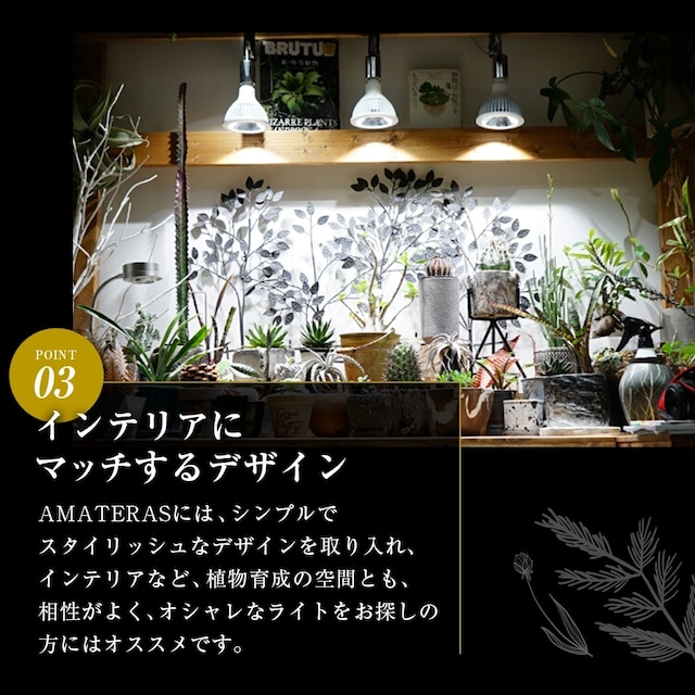 植物育成LED AMATERAS LED 20W 盆栽 苔玉の通販サイト インテリア盆栽